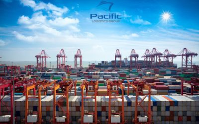 Shanghai port operations normalising as lockdown tapers