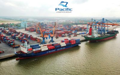 Logistics cảng biển Việt Nam khởi sắc, hỗ trợ xuất khẩu